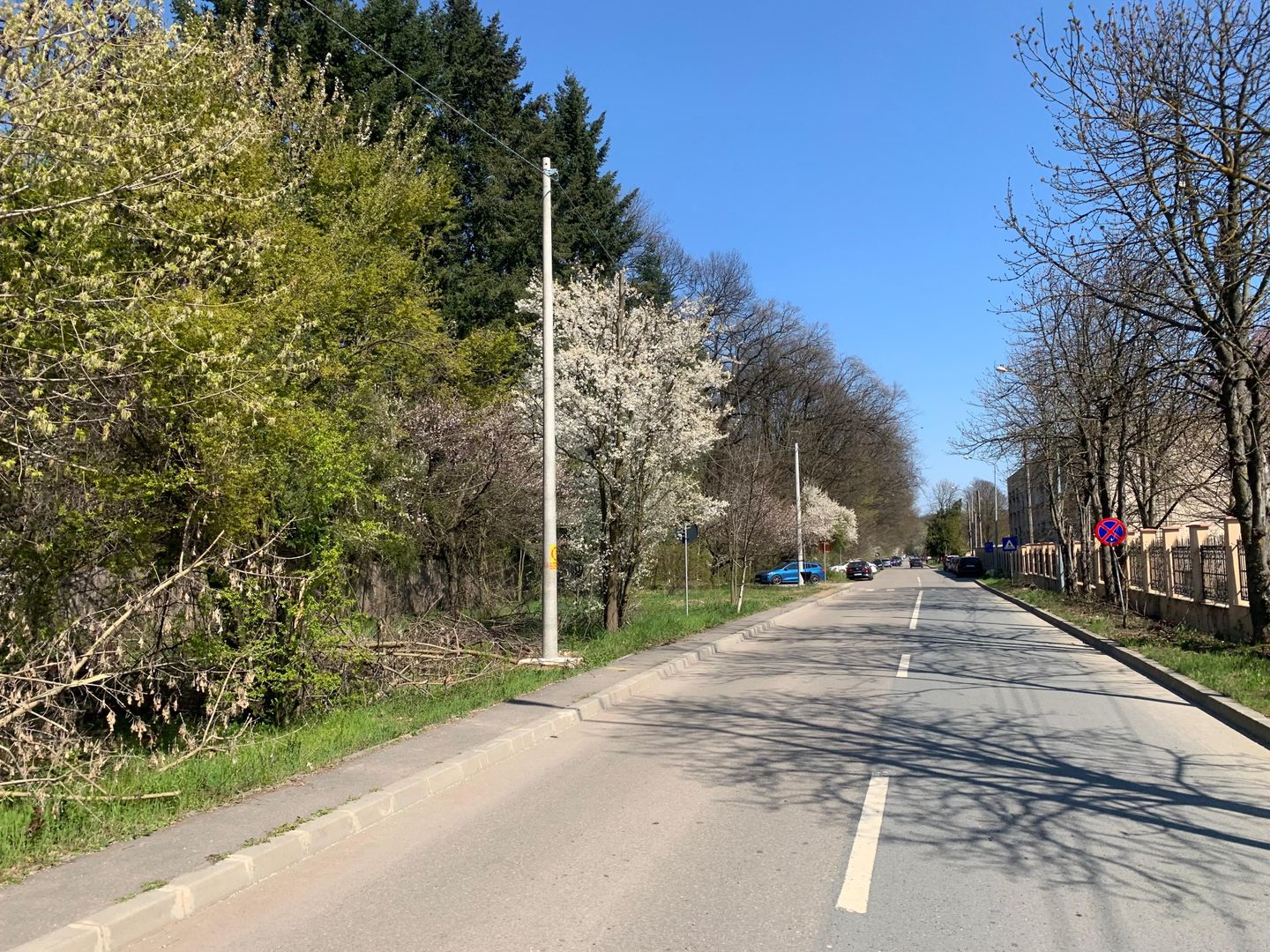 192842 mp teren in Padurea Baneasa proiect exclusivist - Poză 3