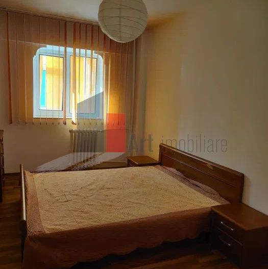 Inchiriere 2 Camere Dristor - Poză 4