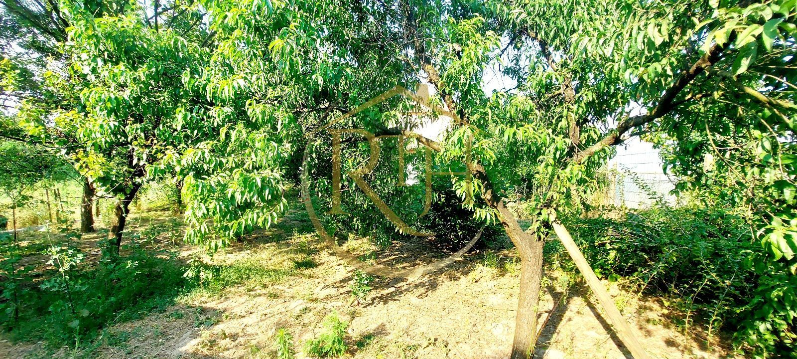 Oferim spre vanzare casa, 6 camere, 162mp utili, 809mp teren, in Giroc - Poză 10