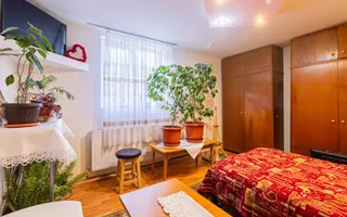 Casă individuală, vedere către Bucegi, la 300 m de Centru, Gară sau Cantacuzino - Poză 19