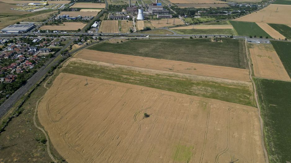 Tern intrevilan 4003 mp - Poză 2