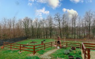 Casă cu 3 dormitoare și 2600 mp teren - Poză 18