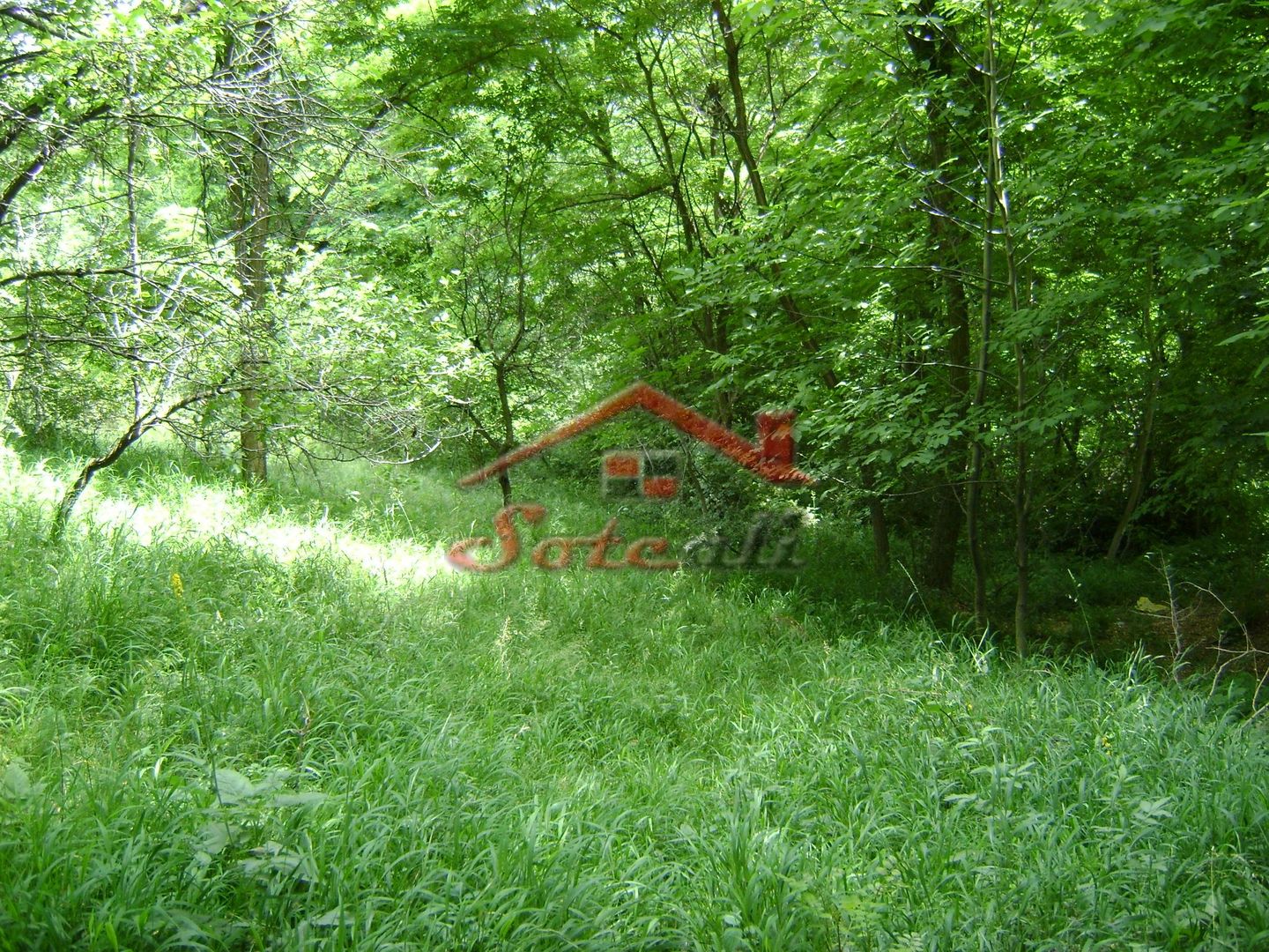 Teren de vanzare Cornu 3074 mp - Poză 1