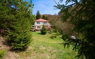 Casa Dambovicioara - CASA de vacanta sau PENSIUNE profitabila - Poză 2