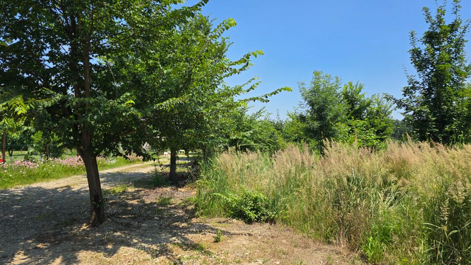 Lot casa Izvorani / Strada Complexul Olimpic - Poză 3