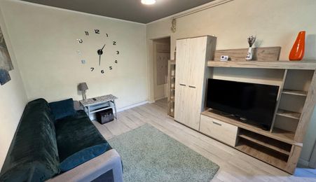 Apartament cu 2 camere, 34mp, Zona Dambu