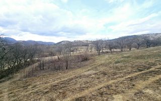 Teren intravilan de vanzare, Geogiu de Sus - Poză 4