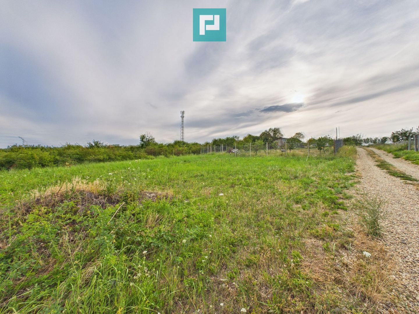 Teren 500m Saldabagiu de Munte - Poză 7