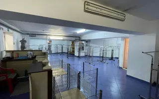 Spatiu Comercial de Vanzare in Marasti, 200 mp, Intrari Separate - Poză 13