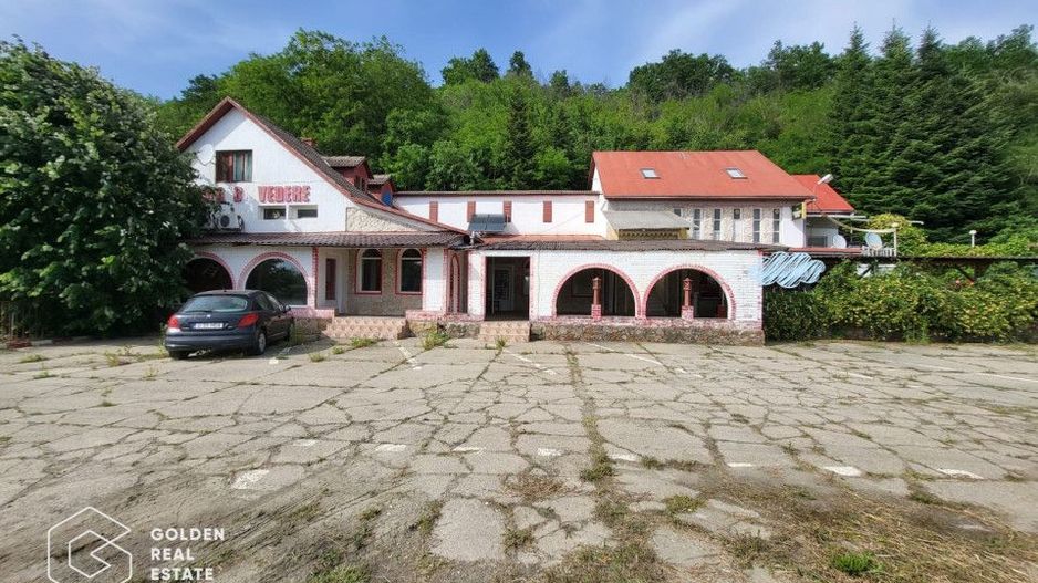 Casa P+1+M, Lipova - Poză 1