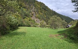 Teren Intravilan de Vânzare – 4000 mp – Râu Sadului - Poză 1