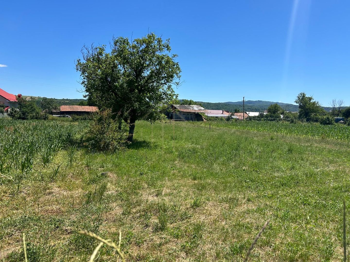 Teren intravilan de vânzare – Cașin, județul Bacău - Poză 1