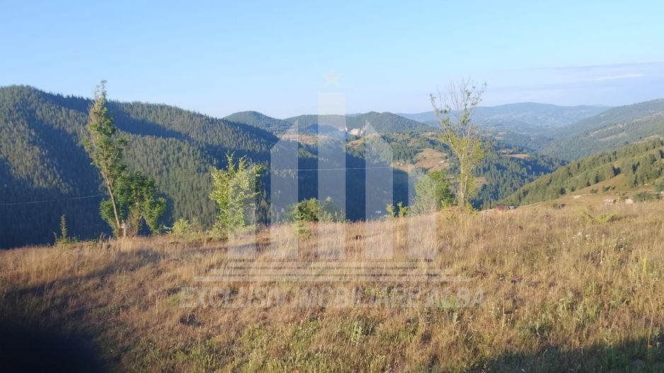 Teren pretabil constructie cabane in Garda de Sus - Poză 2