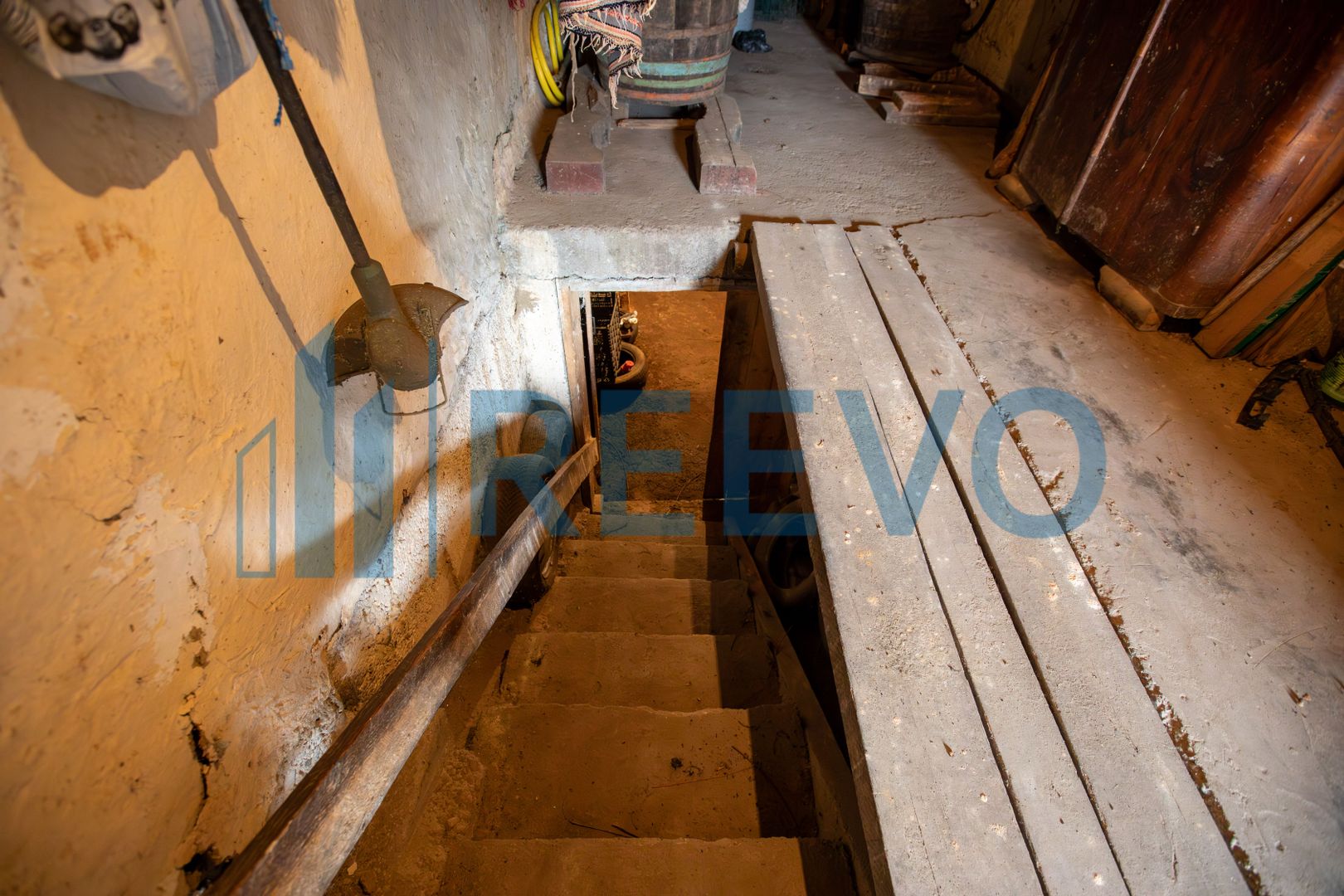 Casa si teren 3365mp Sascut - Poză 32