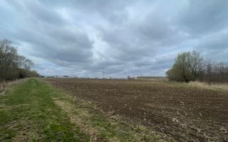 TEREN INTRAVILAN | 50 ARI | ZONA PERIFERICA RADAUTI - Poză 4