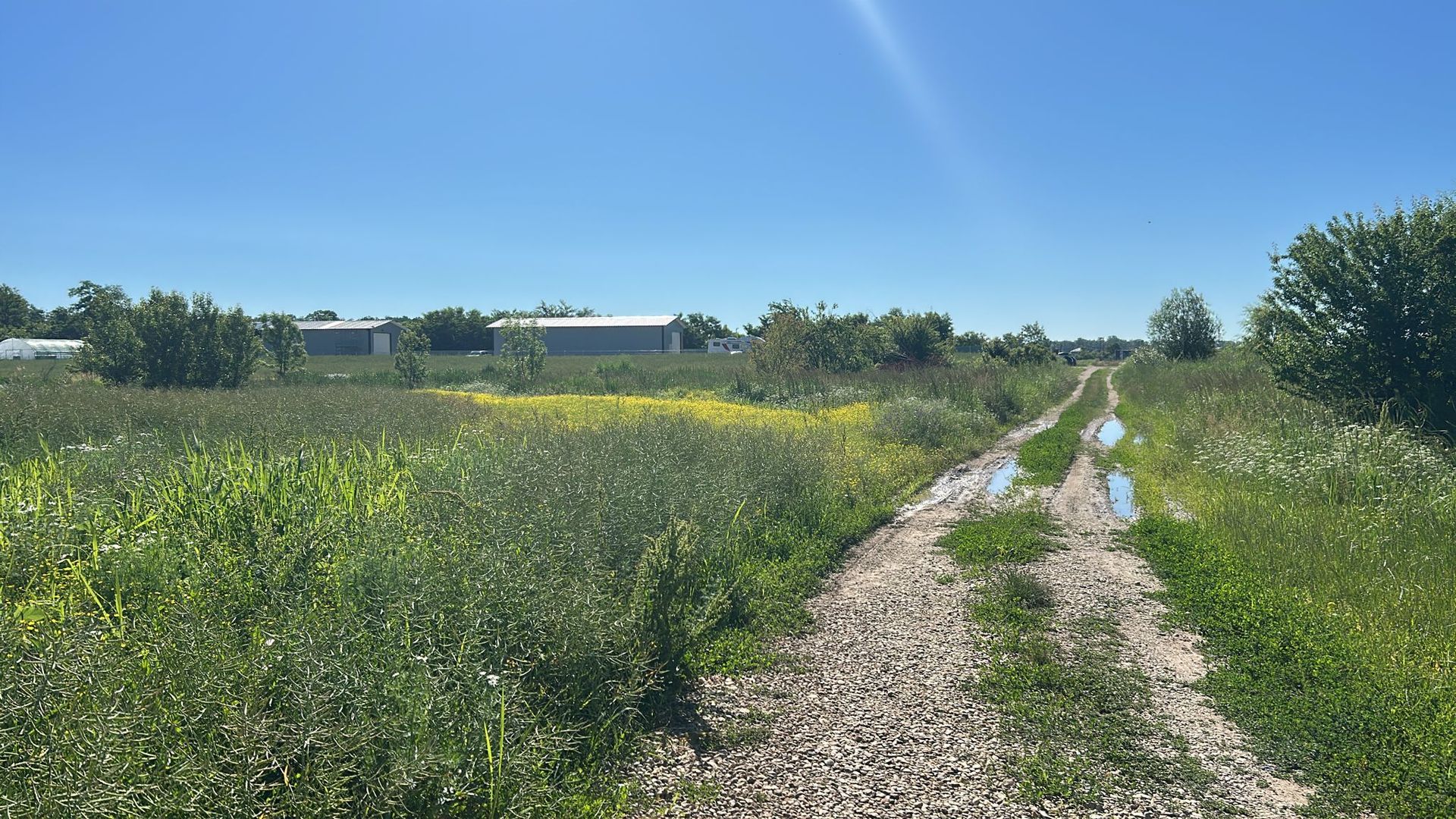 Vanzare Teren Intravilan Padure Izvorani (prin) Strada Florilor - Poză 4