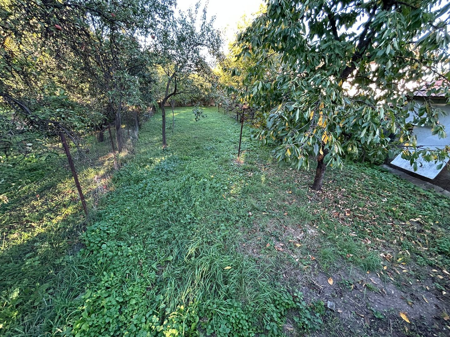 Casa Individuala - zona Centru - Poză 8