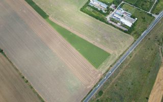 Teren extravilan 12.000 mp DN79 Arad-Oradea - Poză 10