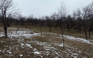 Teren 4652 mp cu izvor pe el, Lunca Mare, lângă păstrăvăria Doftana - Poză 13