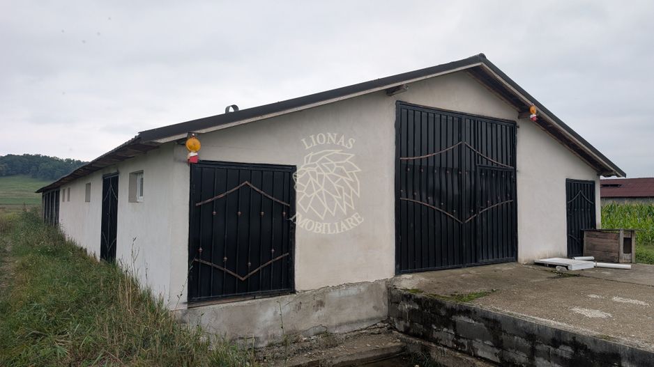 Hala Noua 400 mp-teren 5000 mp-ideal ferma, productie-Cepari - Poză 3