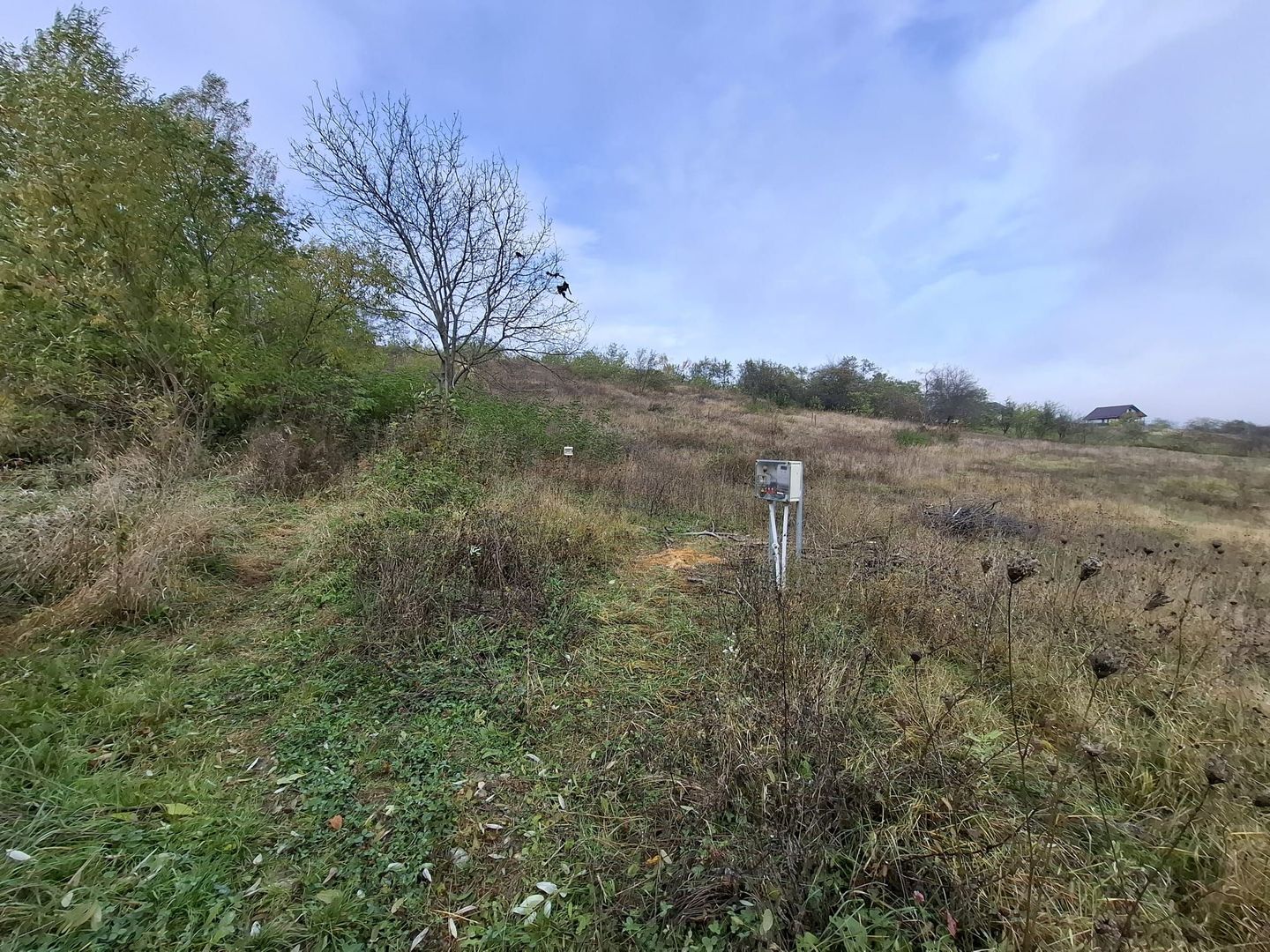 Teren intravilan de vânzare în Gârleni de Sus, Bacău – 6.000 mp - Poză 5