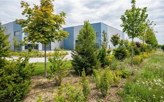 Oportunitate  PUD Aprobat – Acces Imediat Centura Bucuresti - Poză 8