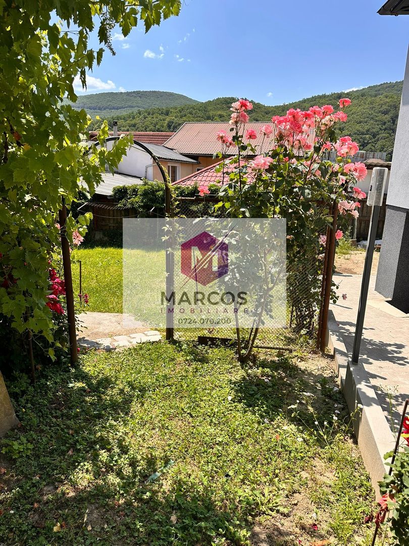 Vand casa 3 camere Muncitoresc - Poză 21