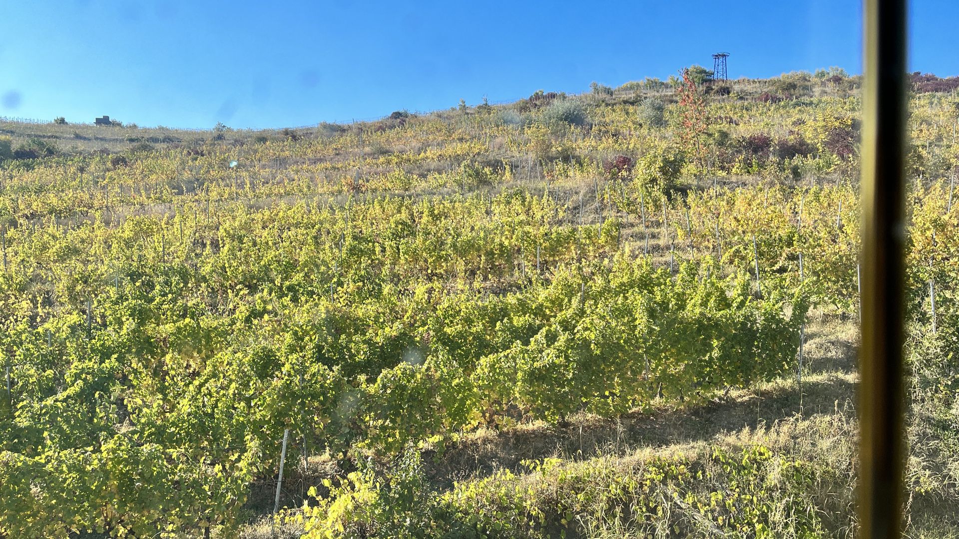 14Ha podgorie, livada pomi fructiferi, si conac 3000mp - Poză 13