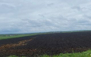 Teren Extravilan | Dornesti | 14.100 Mp - Poză 4