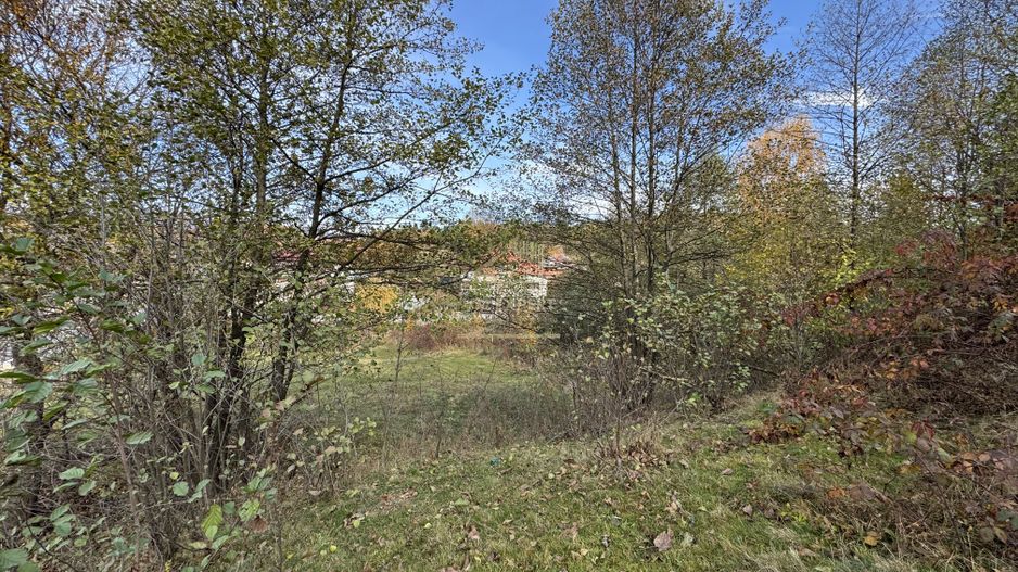 TEREN INTRAVILAN 13167 MP BUGHEA DE SUS ARGES - Poză 6