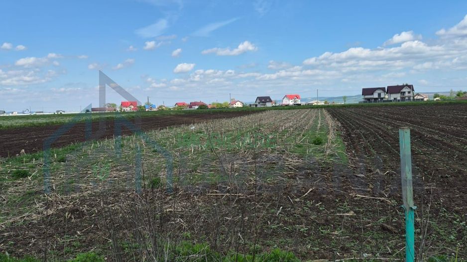Teren de vânzare în Stolniceni-Prăjescu, 1250 mp, deschidere 12.5 m - Poză 3
