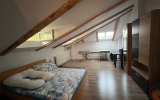 Casa cocheta Foisorul de Foc | Ferdinand - Poză 17