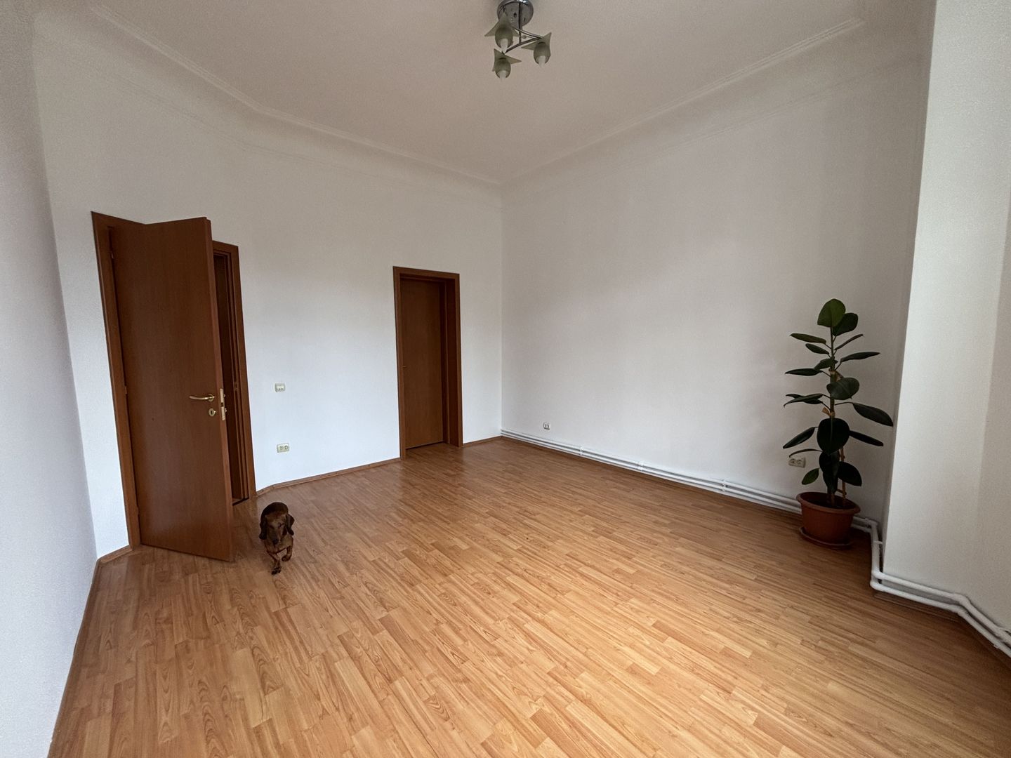 Apartament 4 Camere | 100 mp|Căderea Bastiliei|Birou sau Rezidential - Poză 3