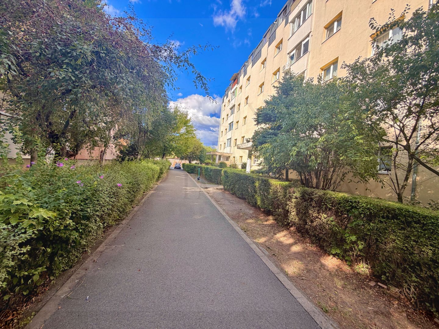 Apartament 2 camere ultrafinisat, parcare proprie, Mărăști – zona Kaufland - Poză 18