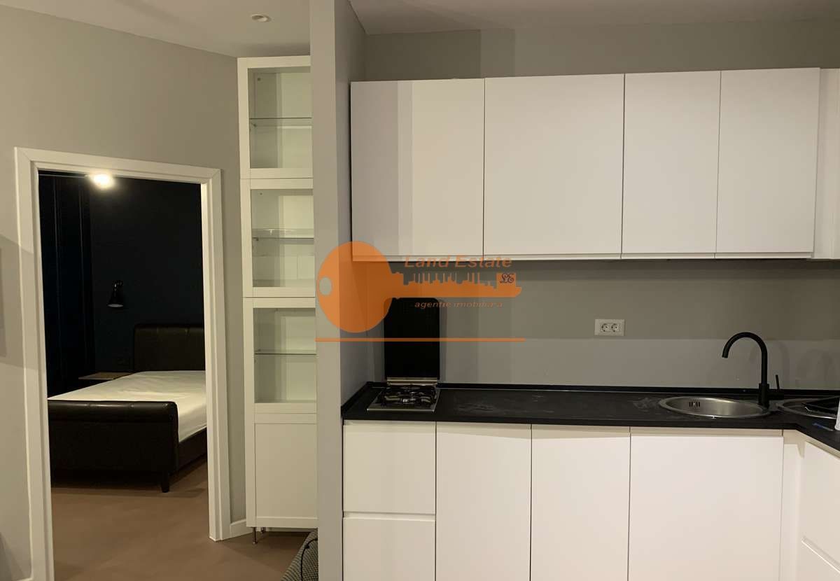 2 camere Herastrau-Aron Cotrus - Poză 4