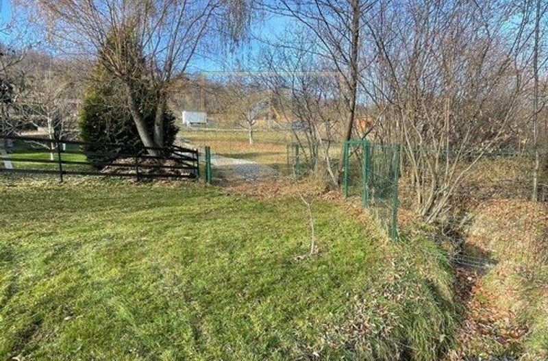 Teren 3349 mp de Vânzare | Bran – Panoramă Munții Bucegi - Poză 9