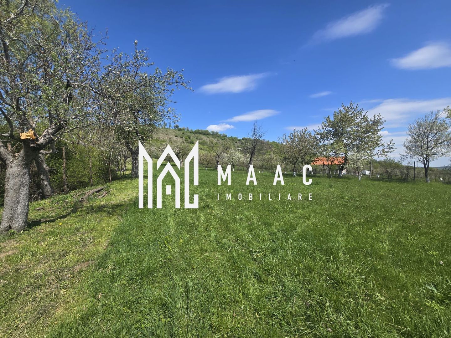 Teren 5400 mp superb cu livada si vedere spre munti Orlat - Poză 9