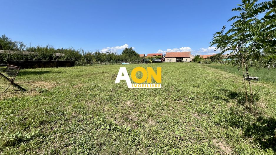 Teren Împrejmuit, 3514mp, Asfalt, Ciugud - Poză 2