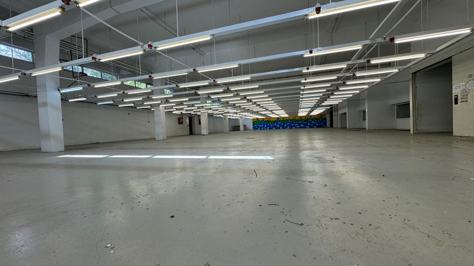 Hala productie P+1 si apartament de serviciu Navodari - c-tie beton - Poză 4