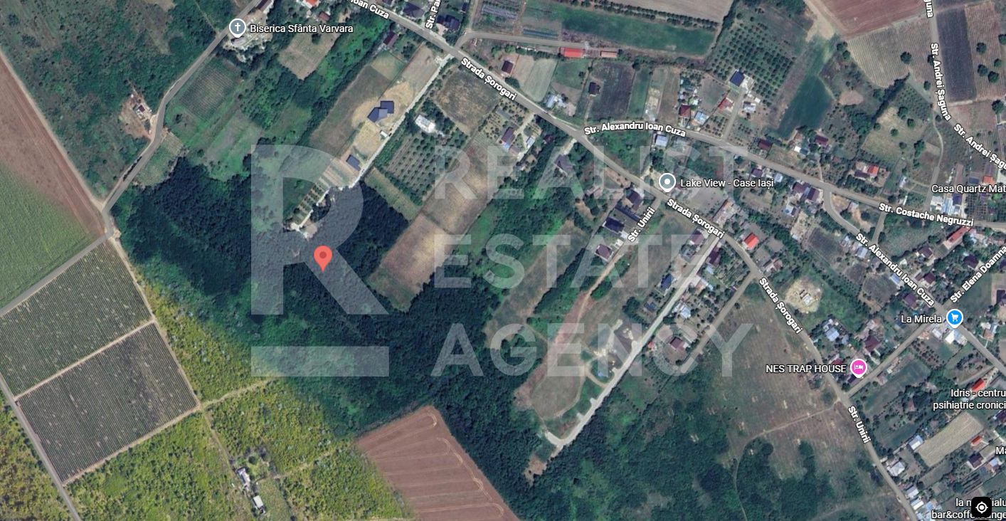 Teren 2 ha Sorogari – deschidere la drum, oportunitate investiție Iași - Poză 4