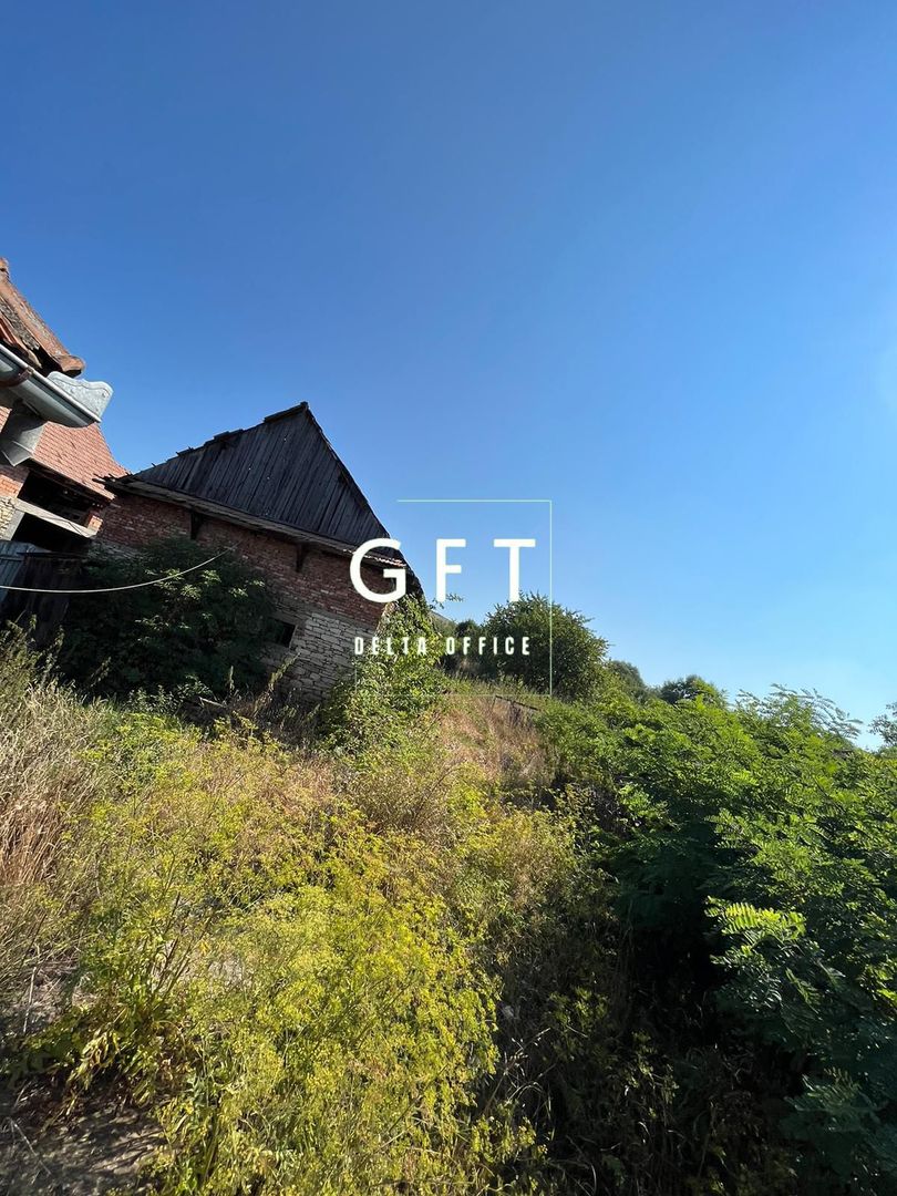 TEREN INTRAVILAN + CASA IN CHINTENI - Poză 6