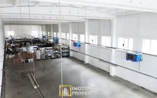 Hală industrială de închiriat 674 mp, 7 m înălțime – Arad centru - Poză 6