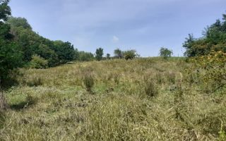 TEREN EXTRAVILAN 2570 MP, CAMPULUNG - Poză 1