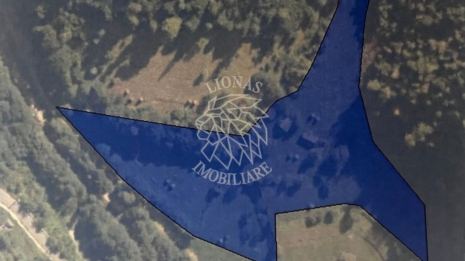 Teren 17898 mp + casa 58 mp-ideal fonduri europeane-Ilva Mica - Poză 1