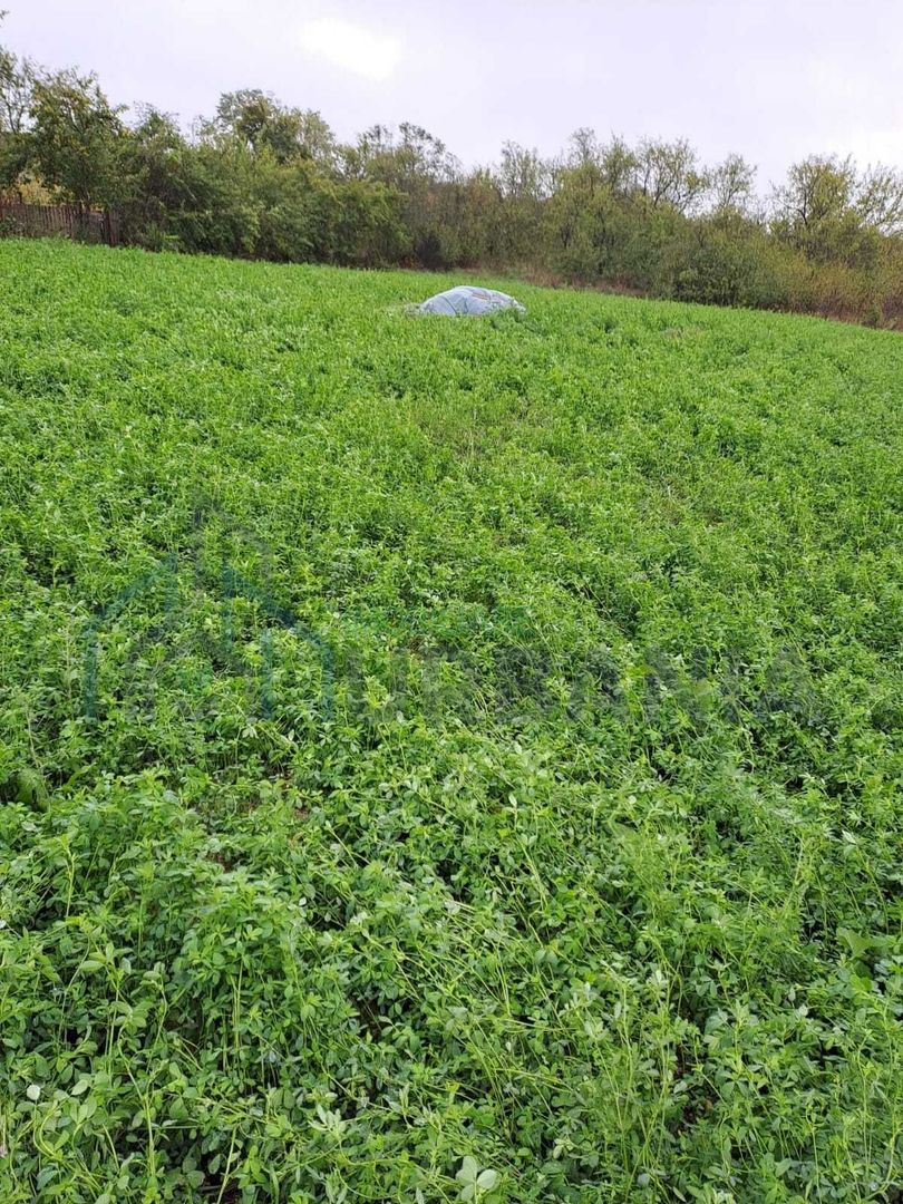 De vanzare teren intravilan Miroslava [Iasi] - Poză 4