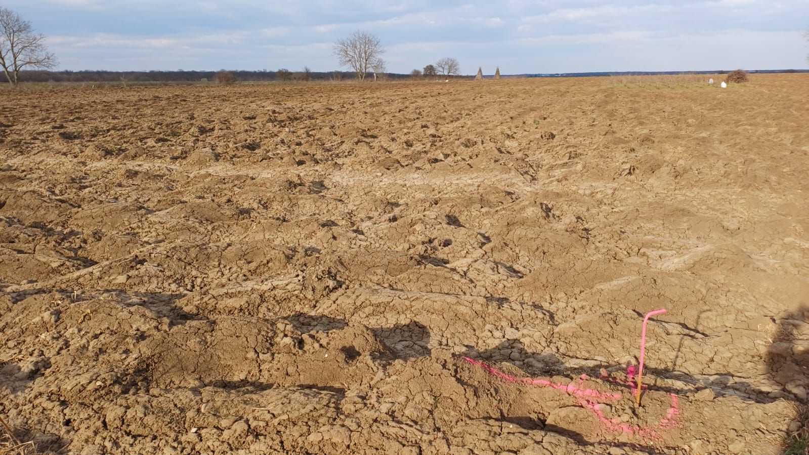 Teren de vânzare | Moara Vlăsiei | Utilități în zonă - Poză 3