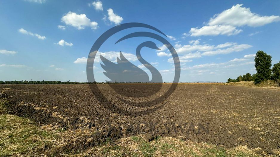 Teren extravilan de vanzare | 9882mp | Berceni - Prahova | Comision 0% - Poză 5