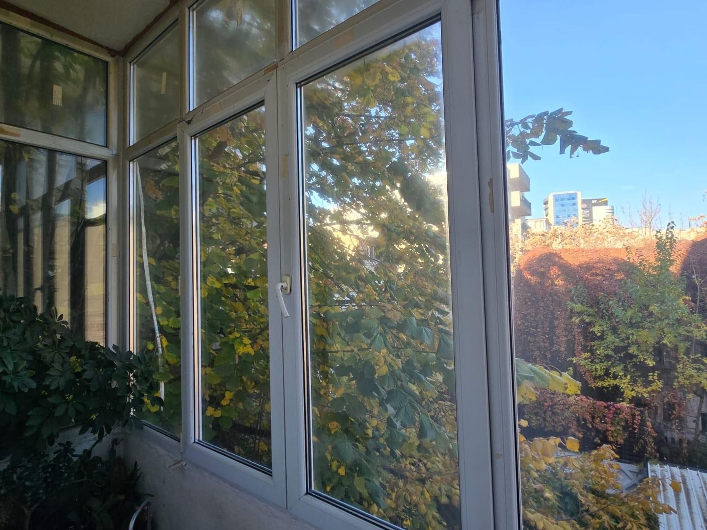 4 camere | Victoriei | Buzesti | B-dul Alexandru Ioan Cuza - Poză 23