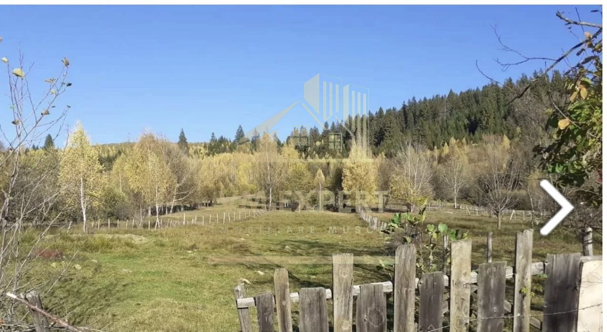 TEREN INTRAVILAN 2100 MP, LERESTI, PRET 42000 EURO - Poză 1