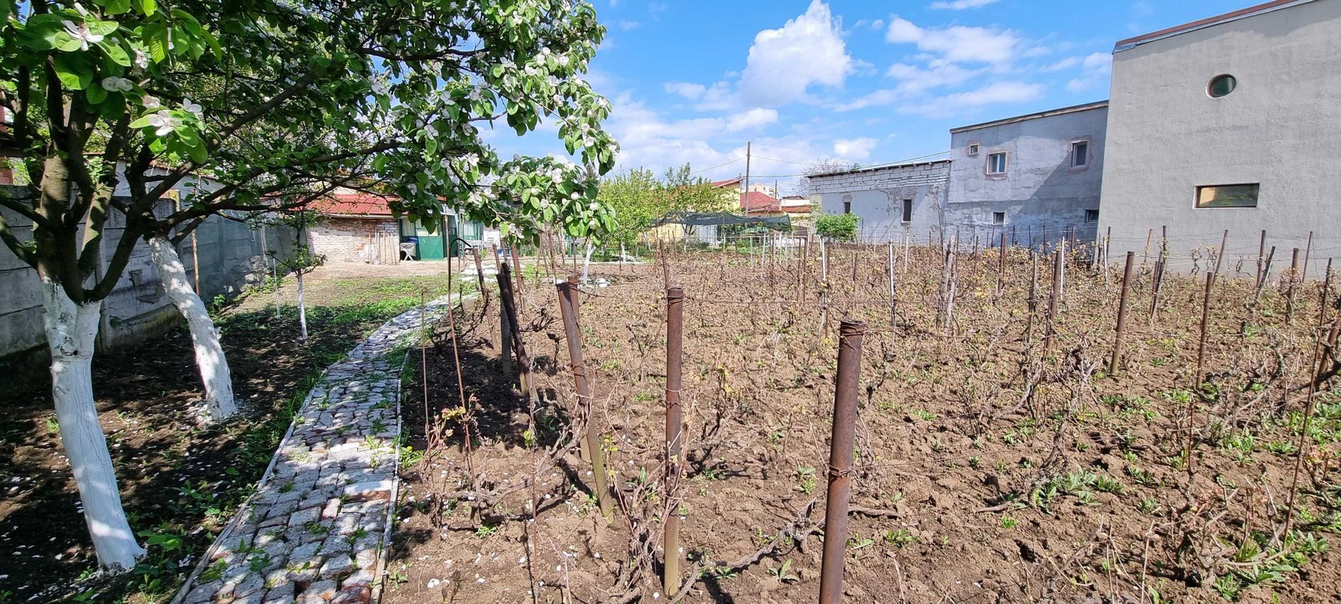 Teren + Casa Demolabila - Poză 3